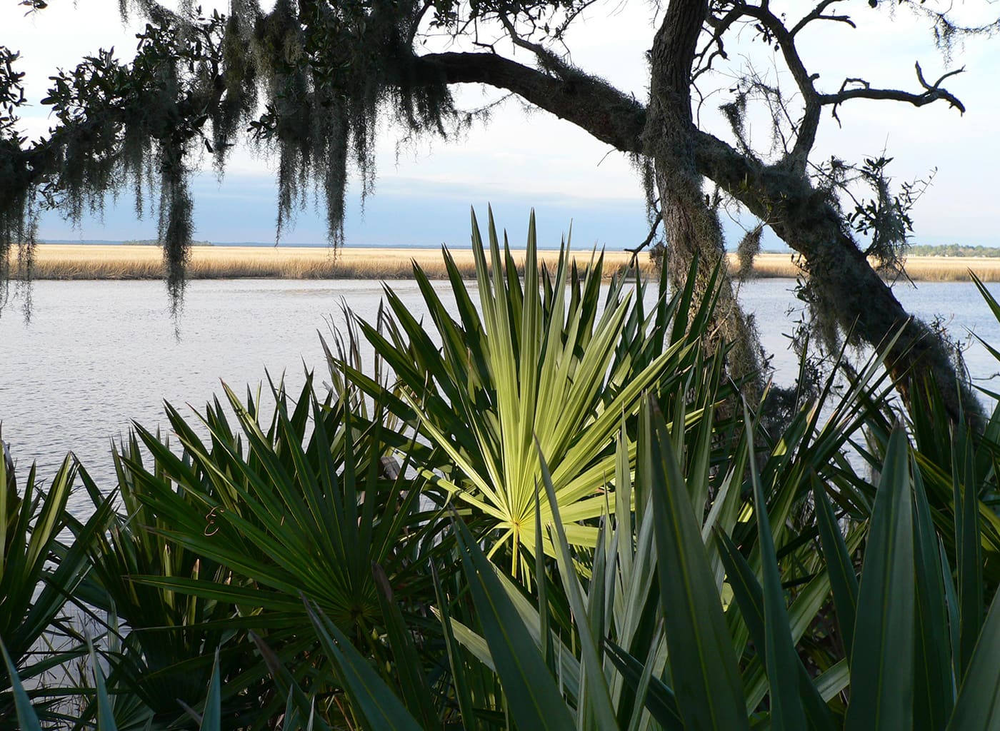 Betz Tiger Point Preserve