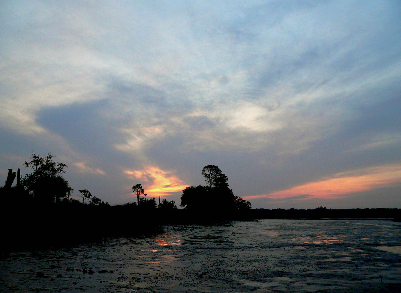 Castaway Island Preserve