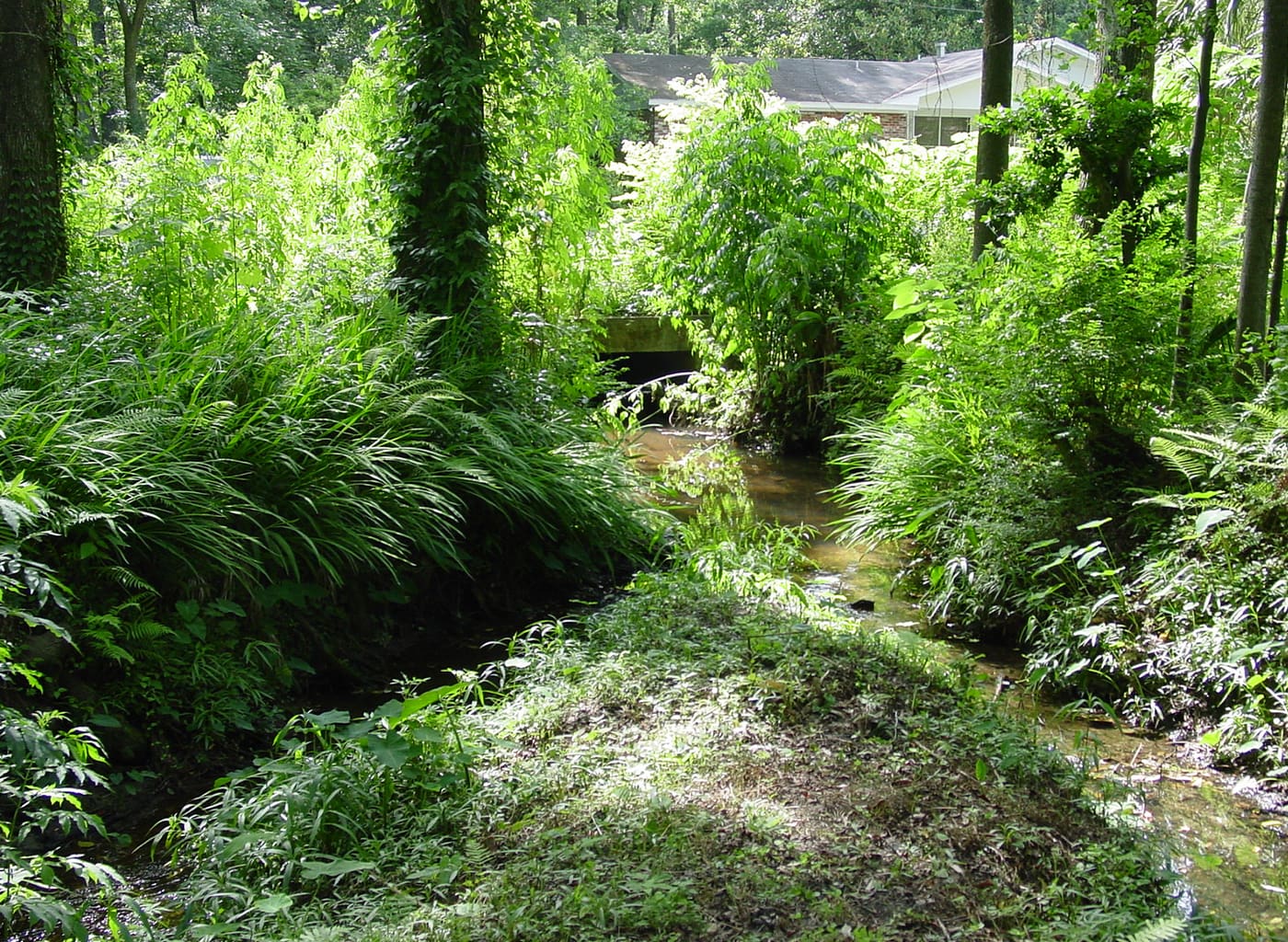 Drainage Bond Program Management