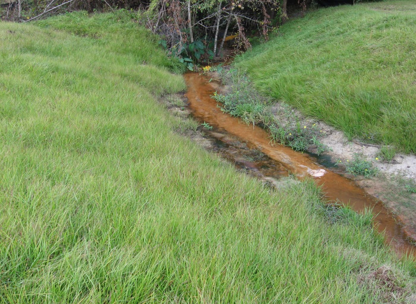 Drainage Bond Program Management