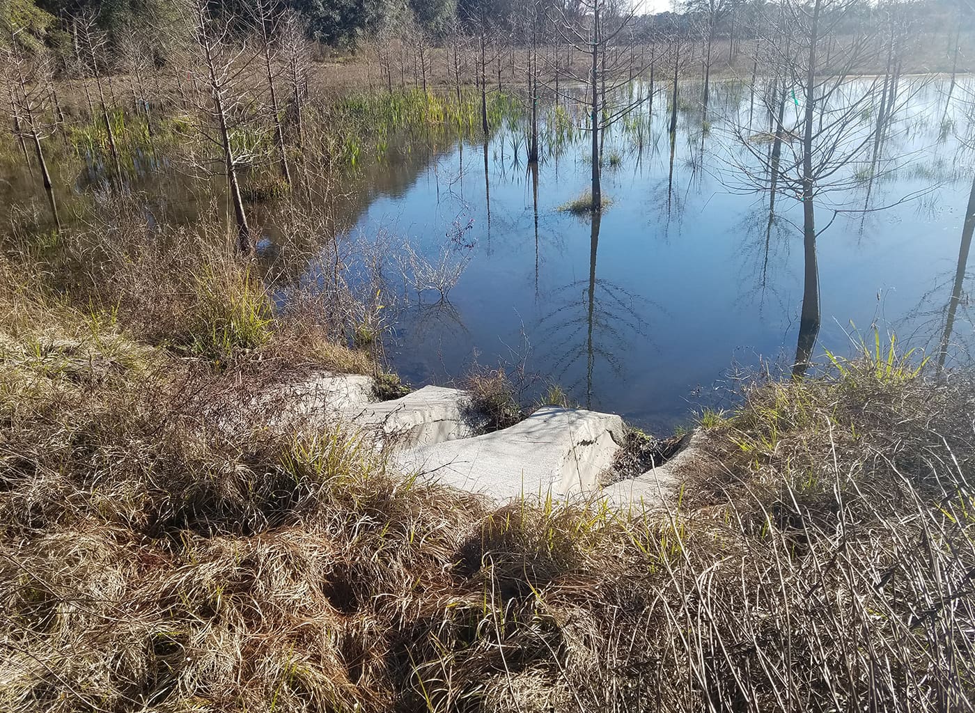Old Plank Road Drainage Improvements