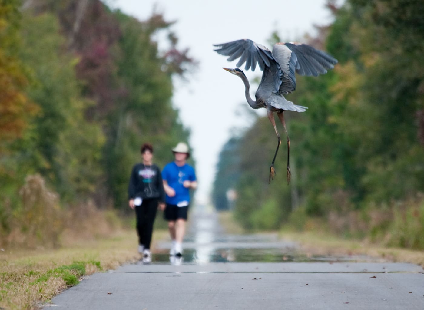 St. Johns River-to-Sea Loop