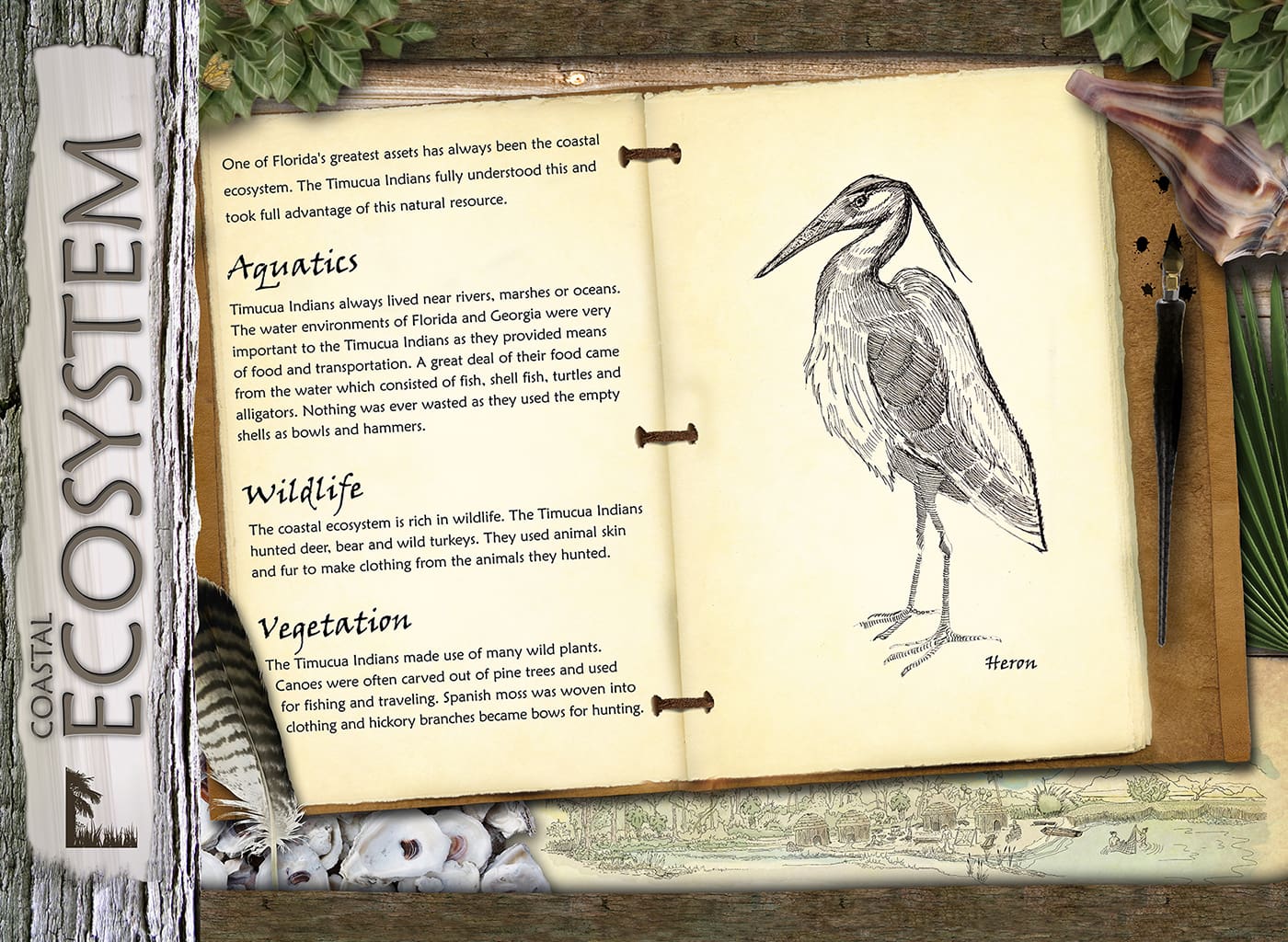 Betz Tiger Point Preserve History