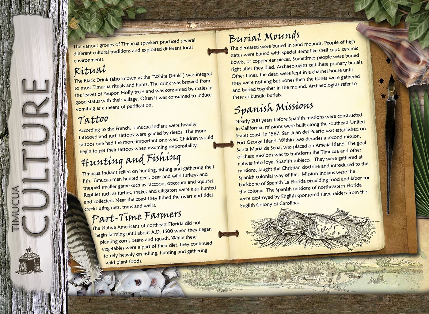 Betz Tiger Point Preserve History