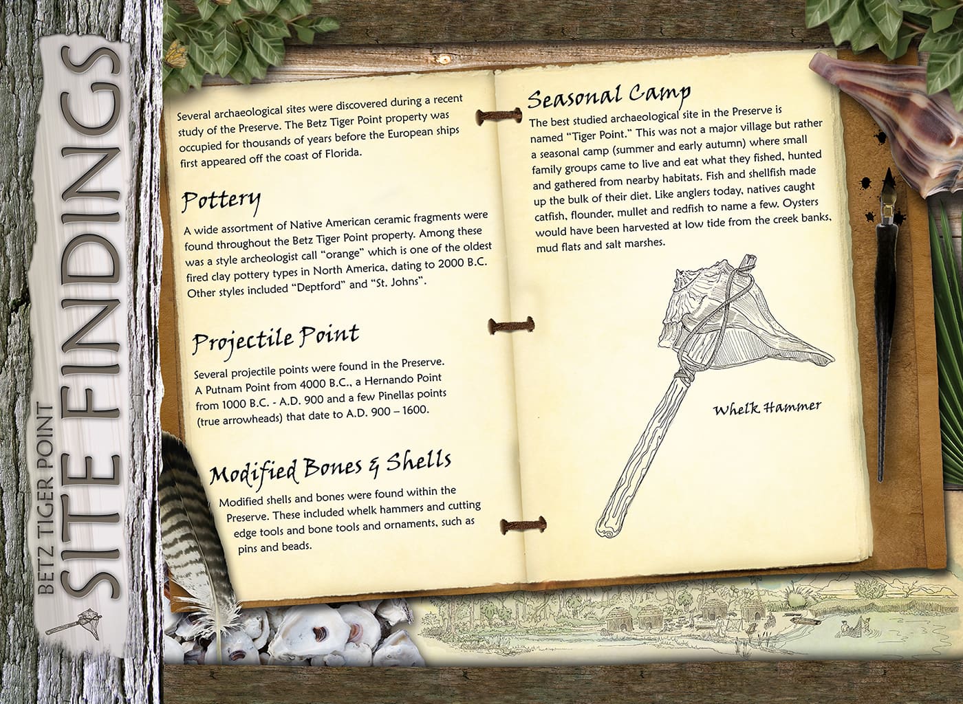 Betz Tiger Point Preserve History