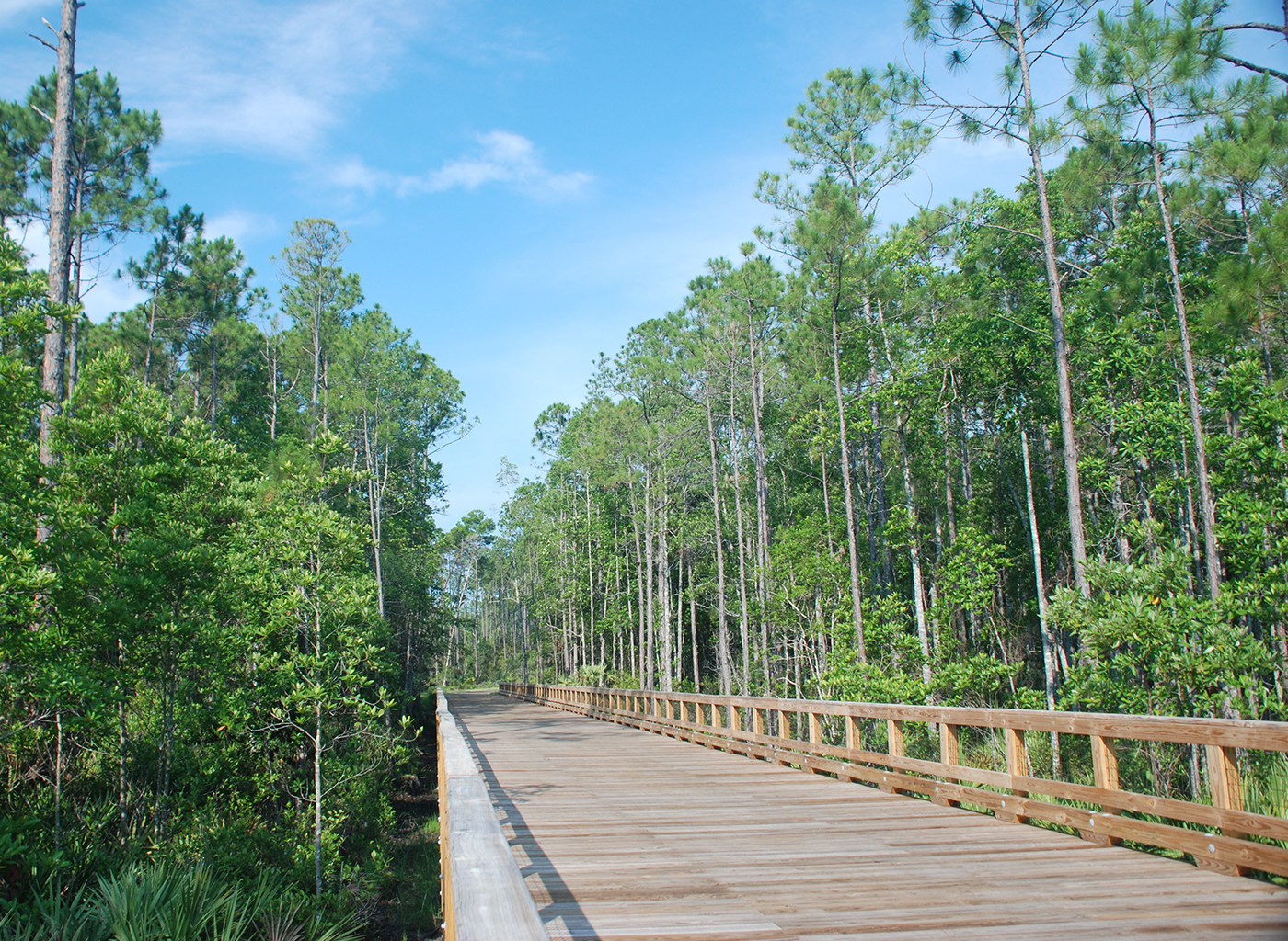 Greenway Trails