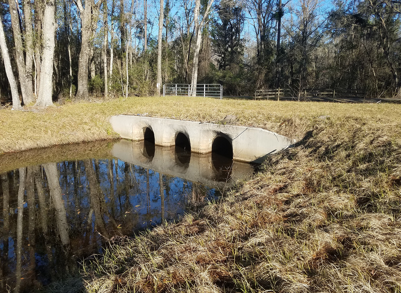 Old Plank Road Drainage Improvements