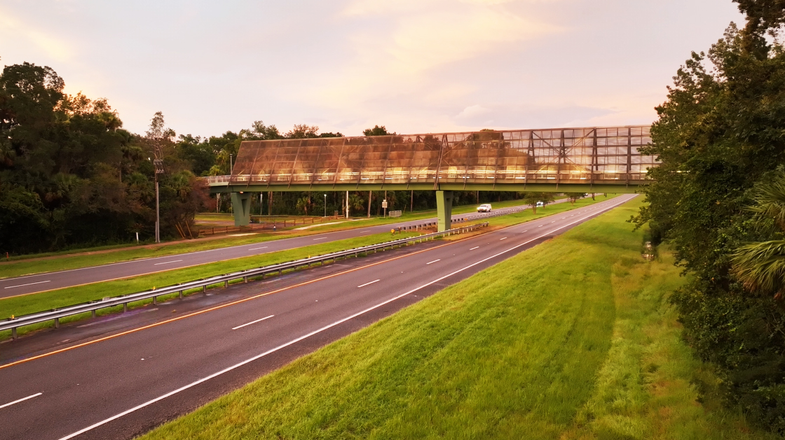 Graham Swamp Trail and Pedestrian Bridge