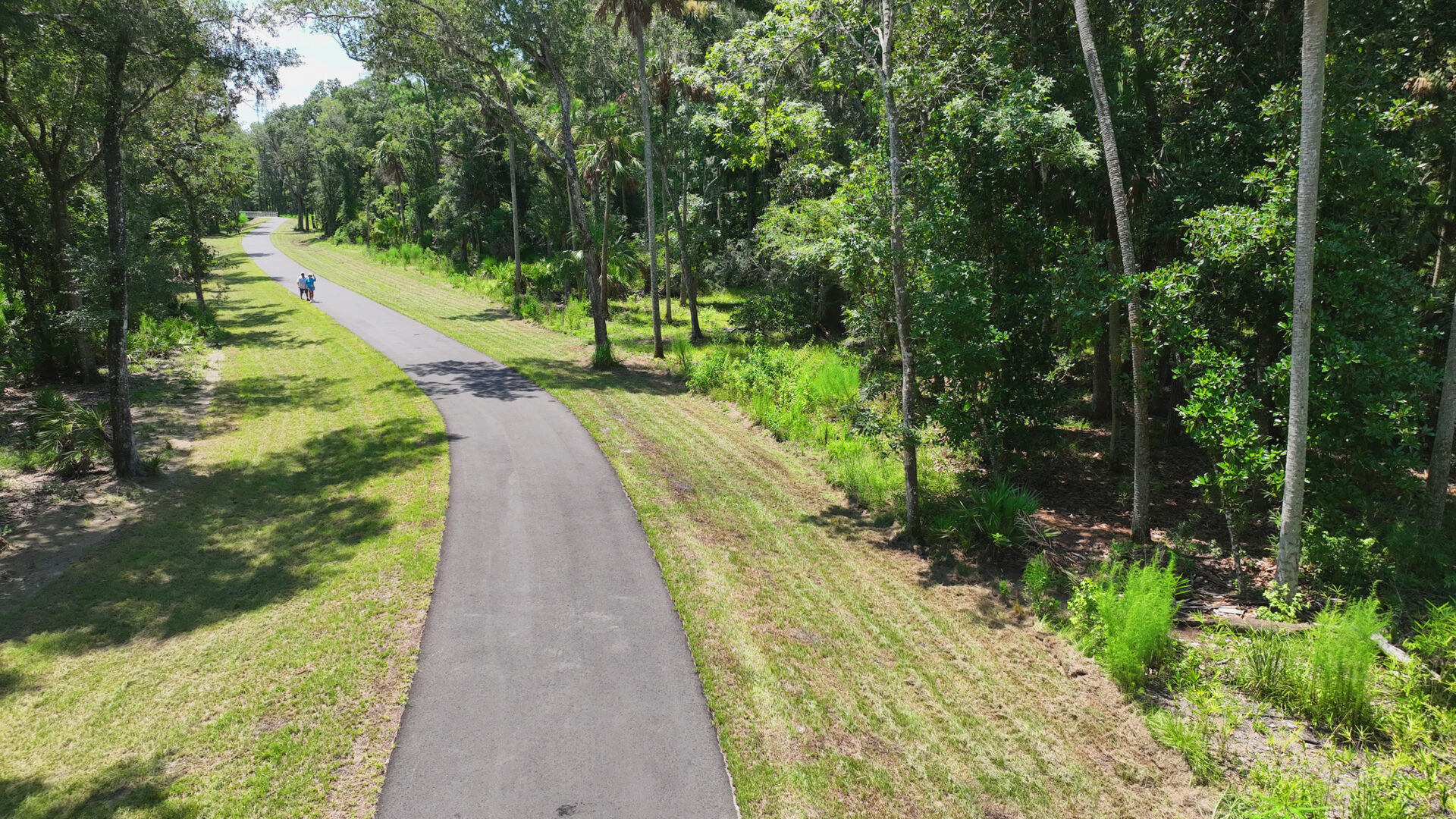 Graham Swamp Trail