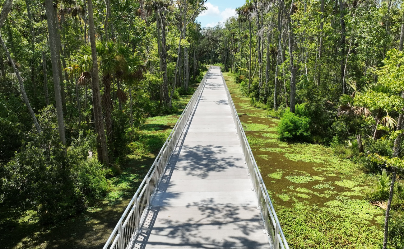 Graham Swamp Trail